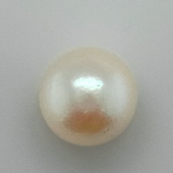 Pearl  (Moti) 8.05 Ct Gem Quality